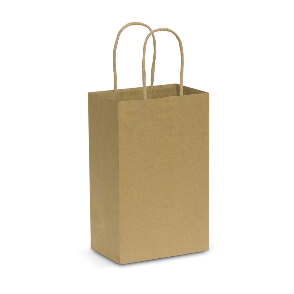 Ridley Small Paper Carry Bag - Northline Printing & Promotional Products