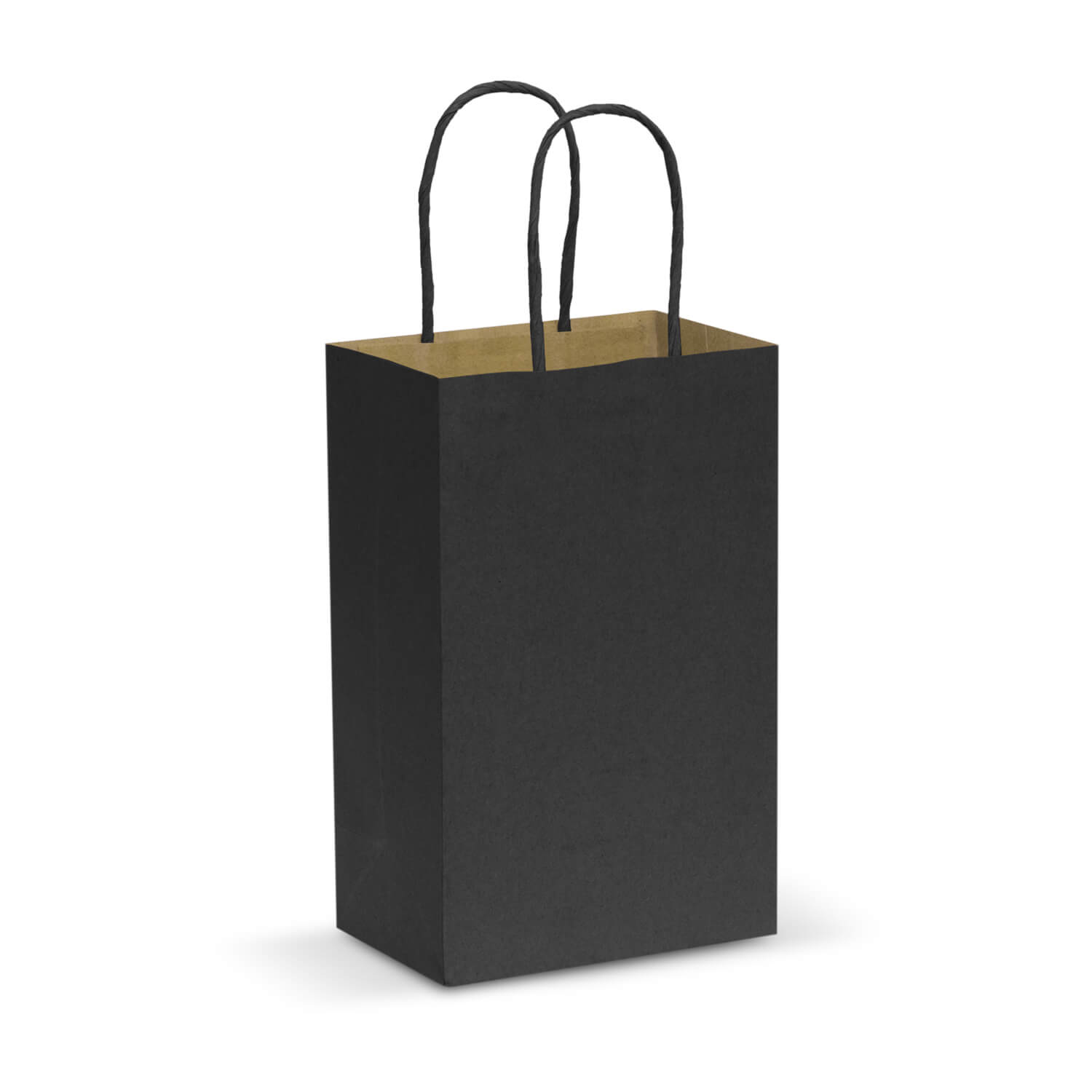 Ridley Small Paper Carry Bag - Northline Printing & Promotional Products